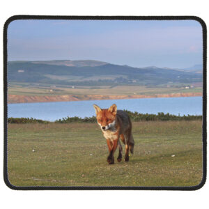 FOX-mouse-mat-2 Fox 2 Mousemat