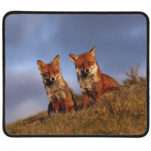 FOX-mouse-mat-3 Fox 3 Mousemat