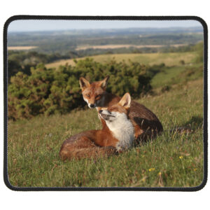 FOX-mouse-mat-4 Fox 4 Mousemat
