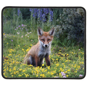 FOX-mouse-mat-5 Fox 5 Mousemat