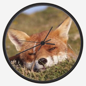 FOX_CLOCK_2-1 Fox 2 Clock