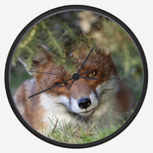 FOX_CLOCK_3-4 Fox 3 Clock