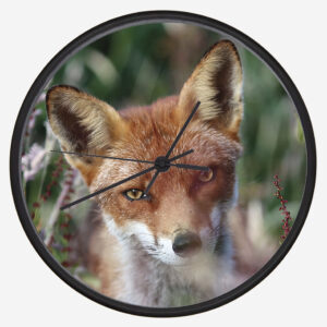 FOX_CLOCK_4 Fox 4 Clock