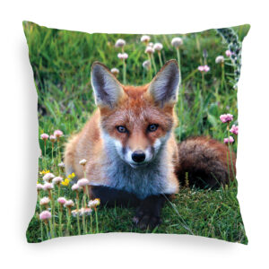 FOX_CUSHION_2 Fox 2 Cushion