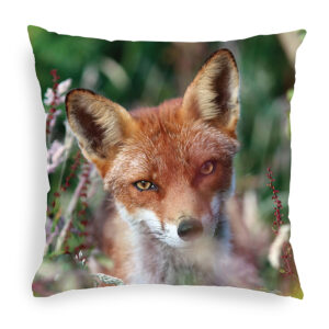 FOX_CUSHION_3 Fox 3 Cushion