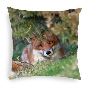 FOX_CUSHION_4 Fox 4 Cushion