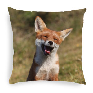 FOX_CUSHION_5 Fox 5 Cushion