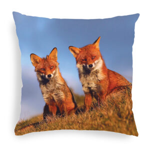 FOX_CUSHION_6 Fox 6 Cushion