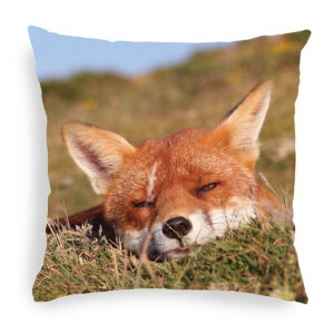 FOX_CUSHION_7 Fox 7 Cushion