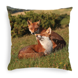 FOX_CUSHION_8 Fox 8 Cushion