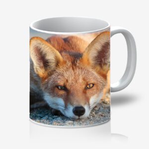 FOX_MUG_3 Fox 11oz Mug 3