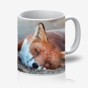 FOX_MUG_4 Fox 11oz Mug 4